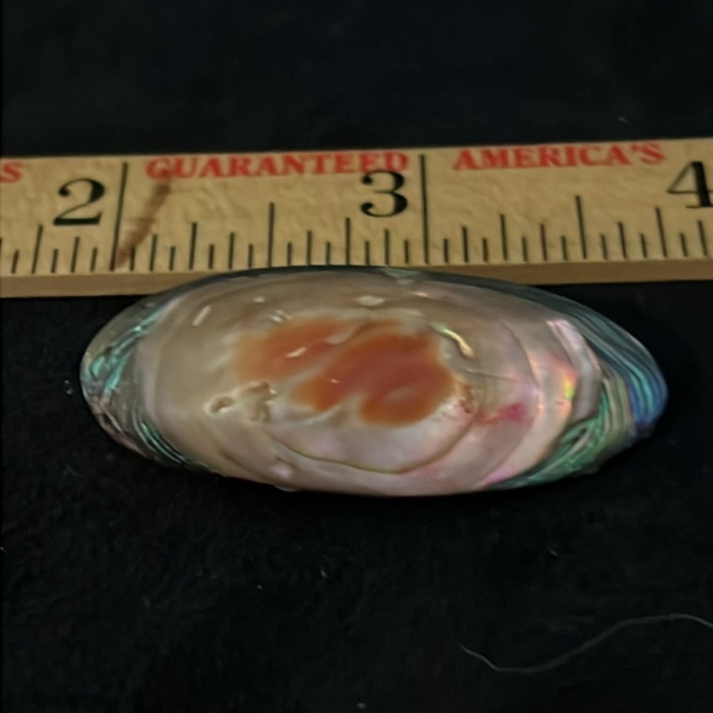 Antique abalone shell brooch c clasp